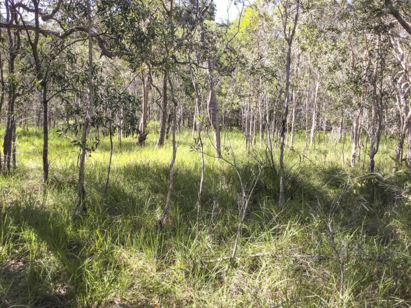 Lot 43 Bootmaker Drive, Round Hill QLD 4677