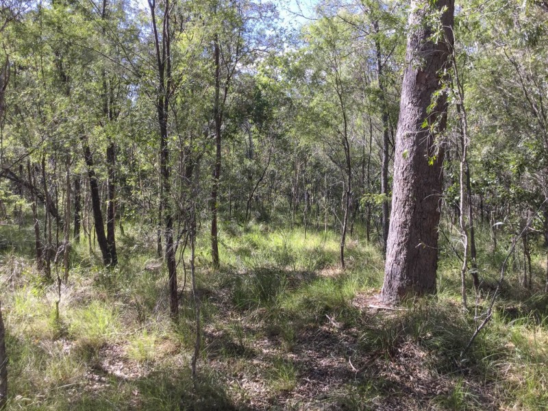 Lot 43 Bootmaker Drive, Round Hill QLD 4677