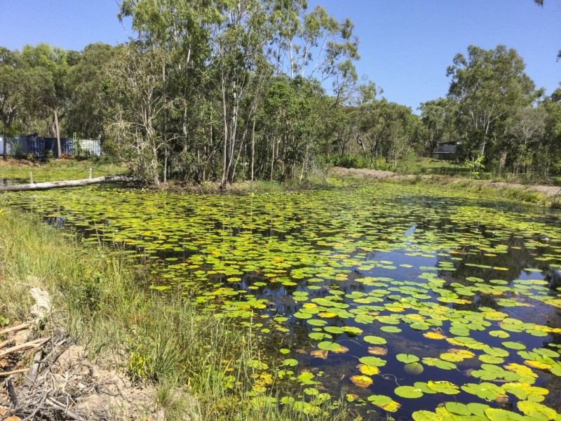 369 Innamincka Way, Agnes Water QLD 4677