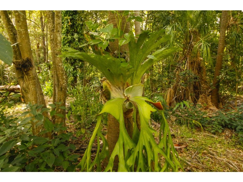 Bororen QLD 4678