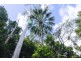 Bororen QLD 4678