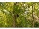 Bororen QLD 4678