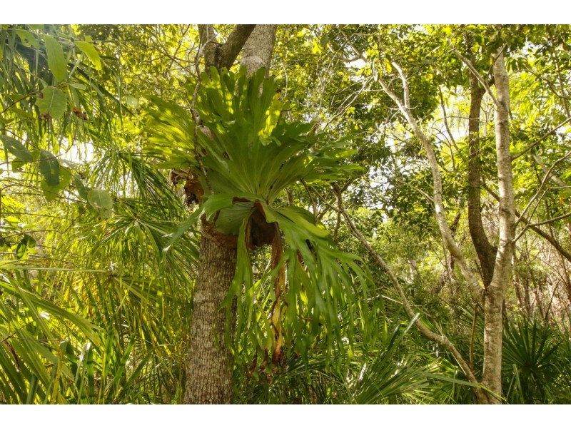 Bororen QLD 4678