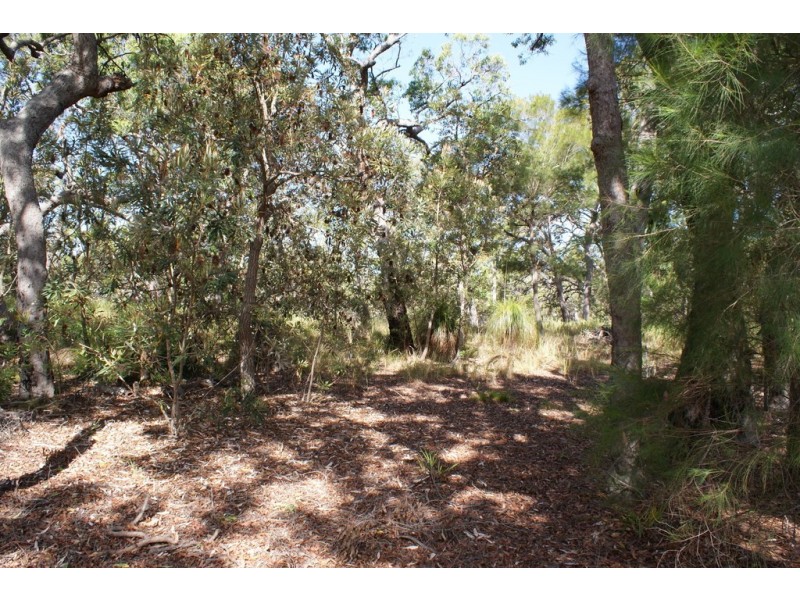 Lot 32 Bloodwood Avenue, Agnes Water QLD 4677