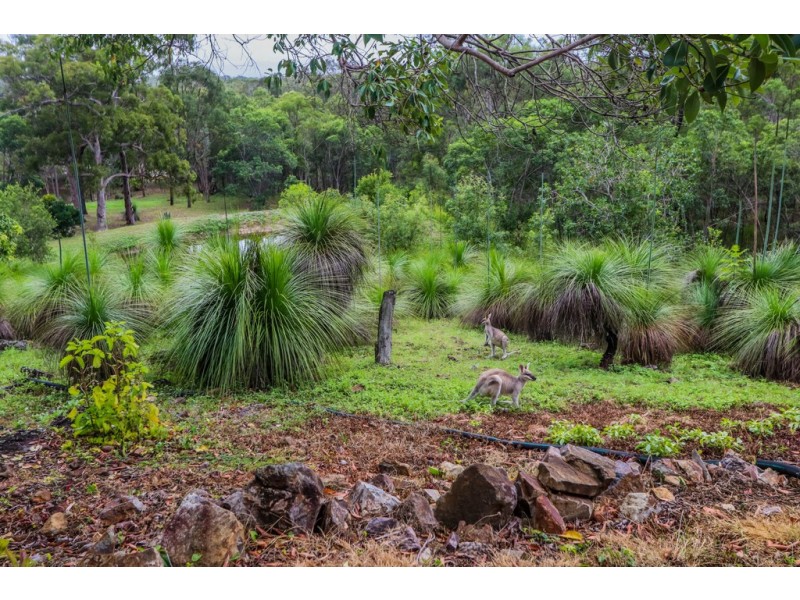 Agnes Water QLD 4677
