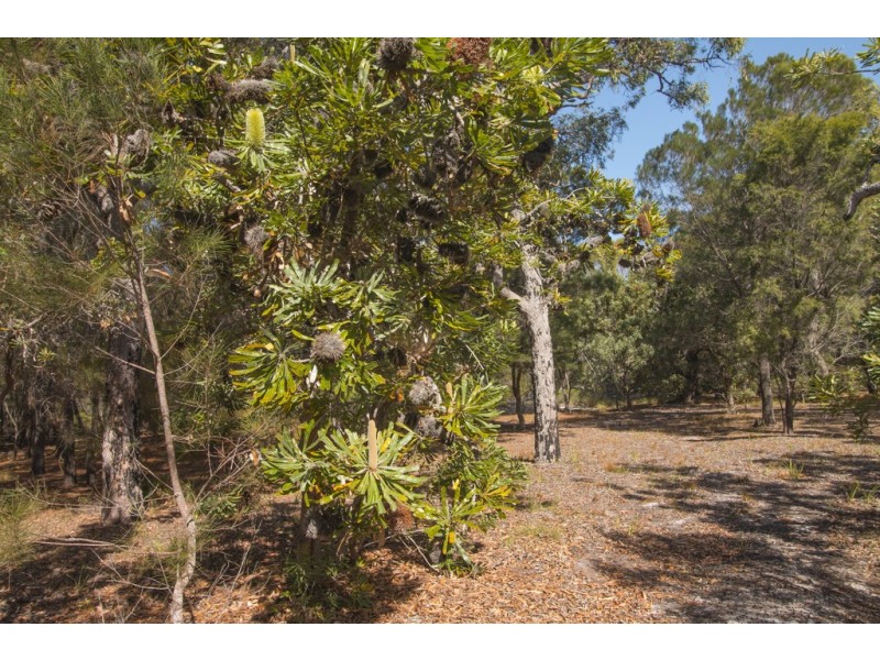 Lot 22 Bloodwood Drive ,within the Gated Community, Agnes Water QLD 4677