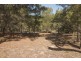 Lot 22 Bloodwood Drive ,within the Gated Community, Agnes Water QLD 4677