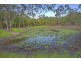 137 Josefski Road, Agnes Water QLD 4677