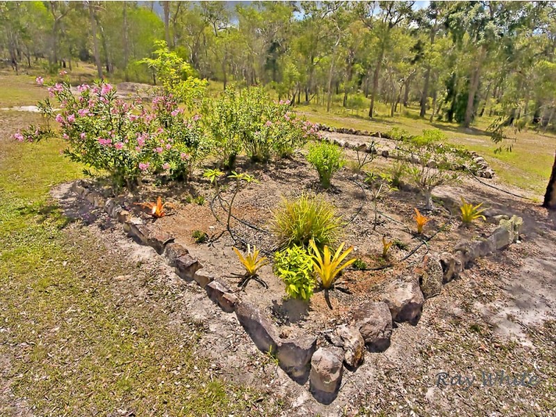 40 Acres, 420 Murphy Road, Captain Creek QLD 4677