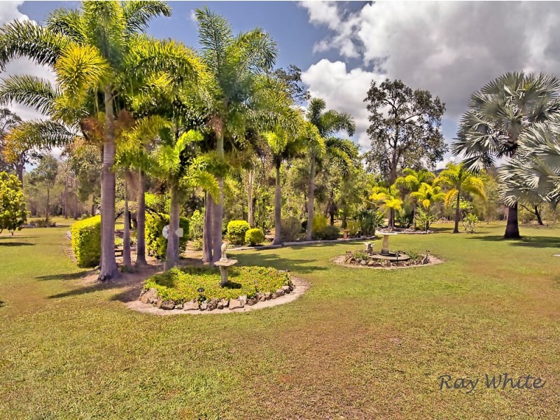 40 Acres, 420 Murphy Road, Captain Creek QLD 4677