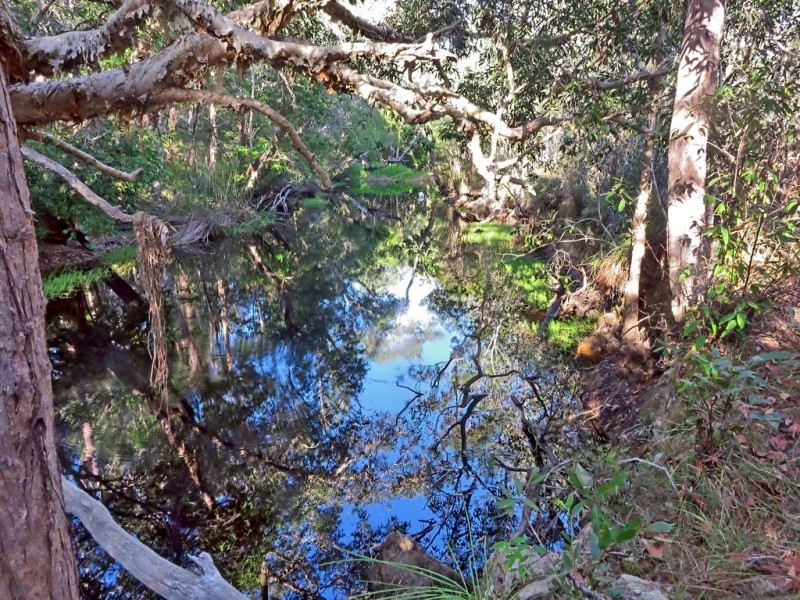 40 Acres, 420 Murphy Road, Captain Creek QLD 4677