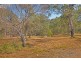 56 Rafting Ground Road, Agnes Water QLD 4677