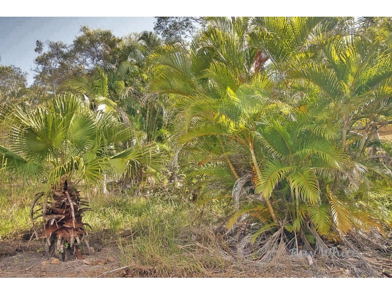 56 Rafting Ground Road, Agnes Water QLD 4677