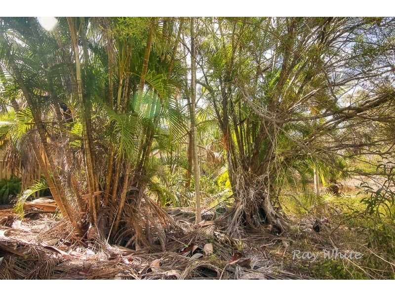 56 Rafting Ground Road, Agnes Water QLD 4677