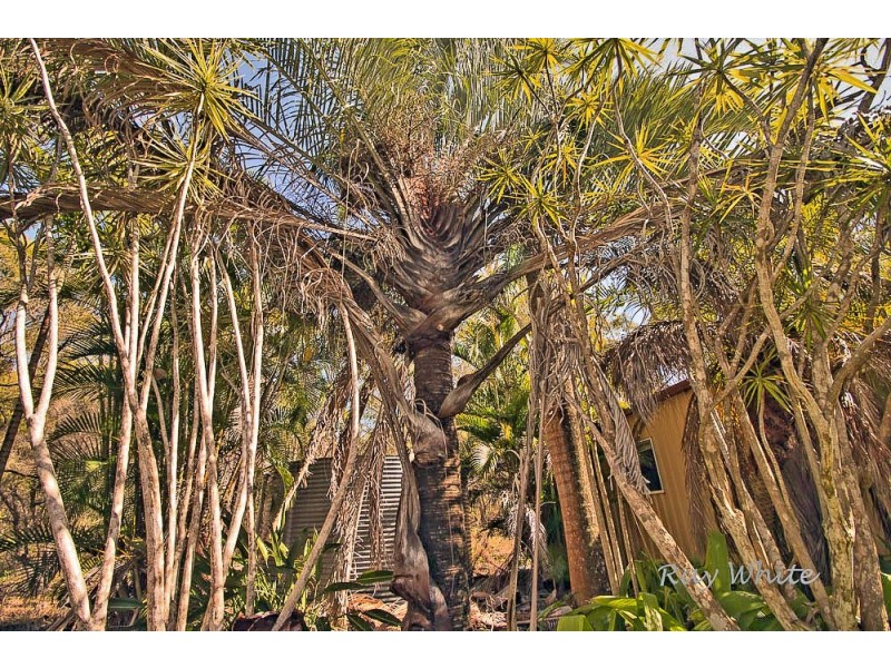 56 Rafting Ground Road, Agnes Water QLD 4677