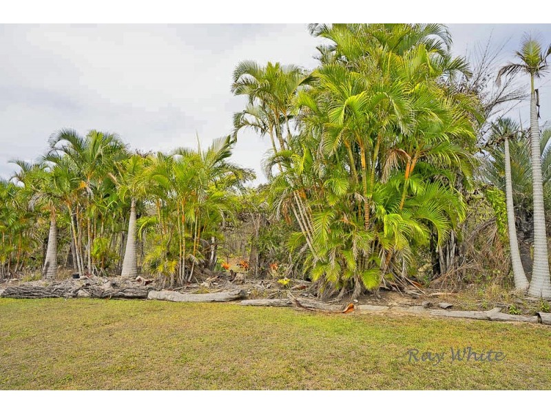 36 Wistari Tce, Agnes Water QLD 4677