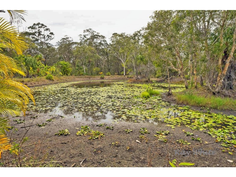 36 Wistari Tce, Agnes Water QLD 4677