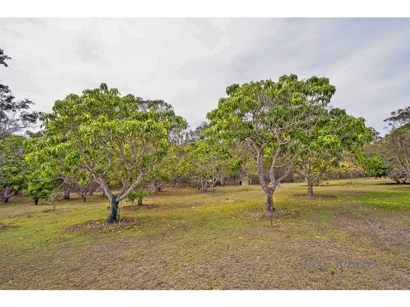 36 Wistari Tce, Agnes Water QLD 4677