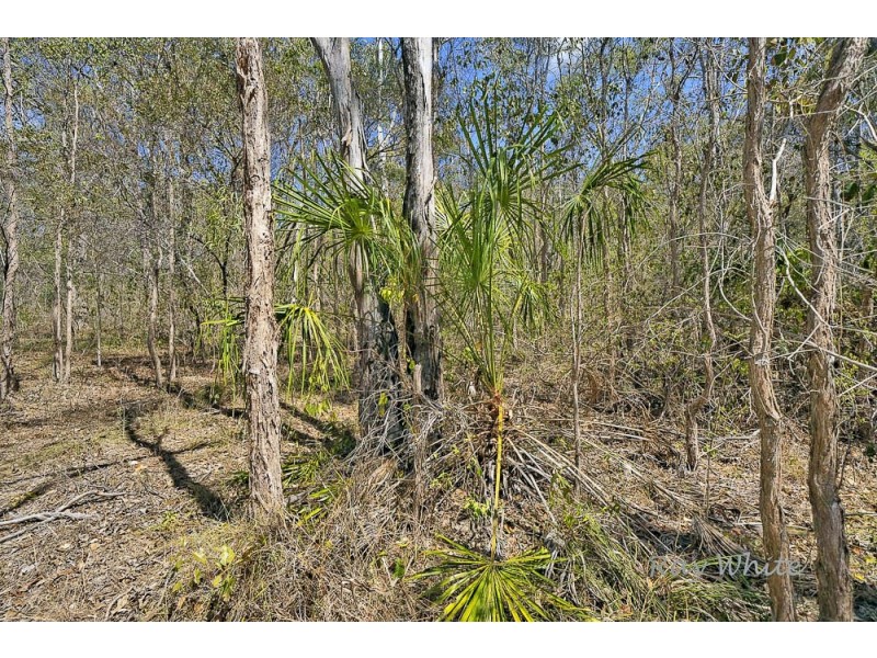 10 Fitzroy Crescent, Agnes Water QLD 4677