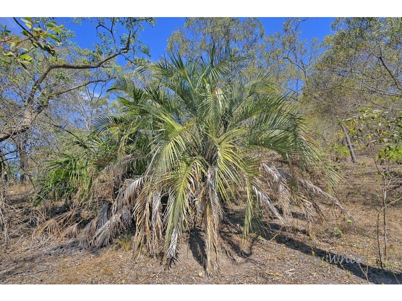 10 Fitzroy Crescent, Agnes Water QLD 4677