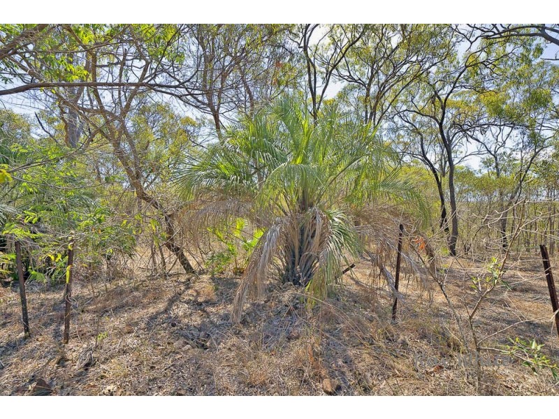 10 Fitzroy Crescent, Agnes Water QLD 4677