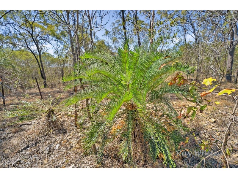 10 Fitzroy Crescent, Agnes Water QLD 4677