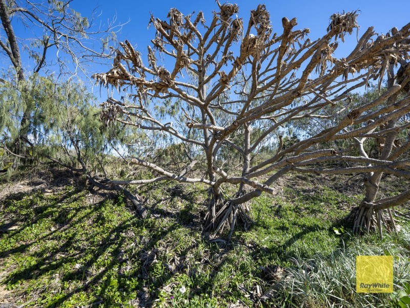 302 Coast Road, Baffle Creek QLD 4674
