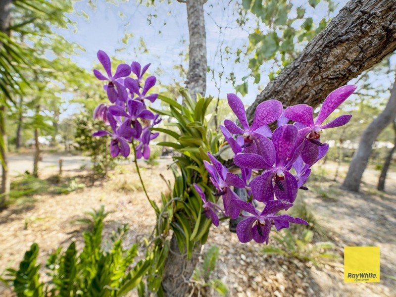 48 Bills Road, Agnes Water QLD 4677