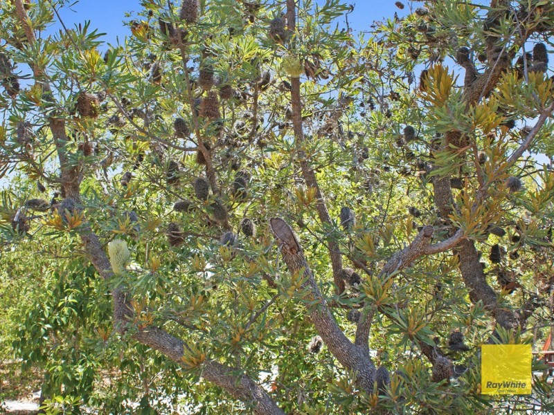 Sunrise 1770 Lot 76 Bloodwood Drive, Agnes Water QLD 4677