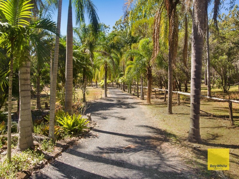 167 Rafting Ground Road, Agnes Water QLD 4677