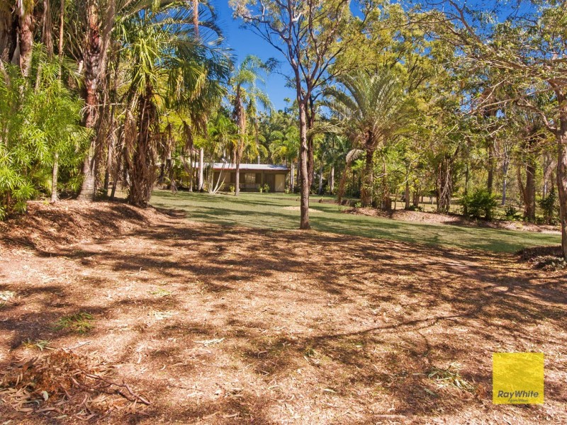 167 Rafting Ground Road, Agnes Water QLD 4677