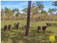 Lot 170 Davies Road, Captain Creek QLD 4677