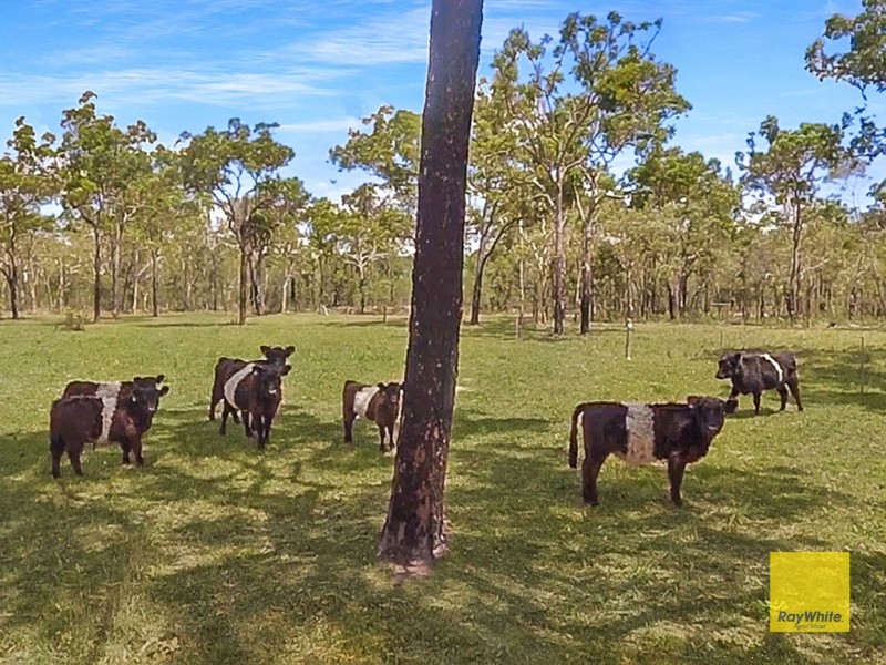 Lot 170 Davies Road, Captain Creek QLD 4677