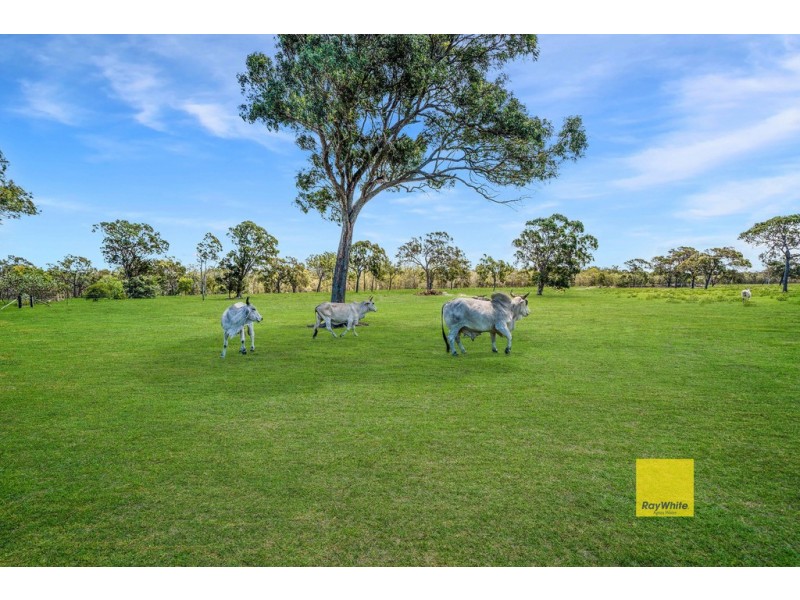 2361 Round Hill Road, Round Hill QLD 4677