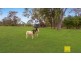 90 Lady Elliot Drive, Agnes Water QLD 4677