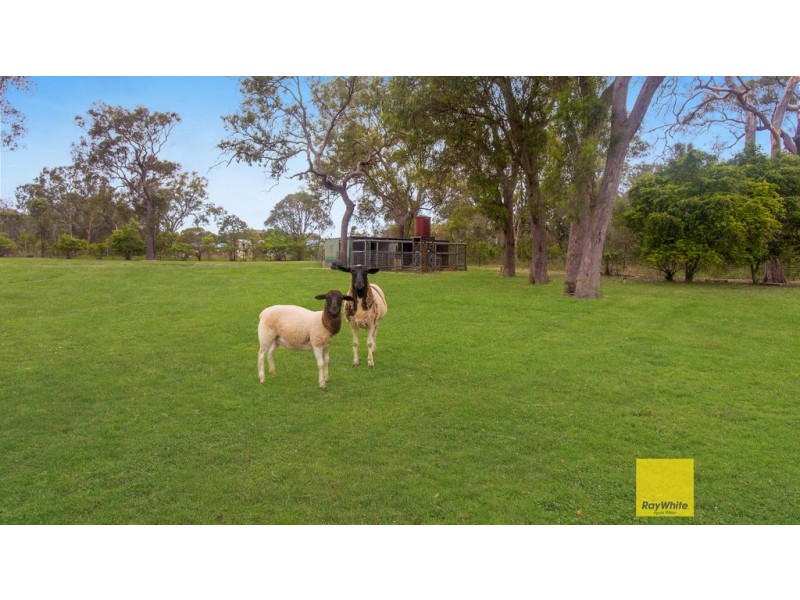 90 Lady Elliot Drive, Agnes Water QLD 4677