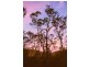 74 Range Road, Captain Creek QLD 4677