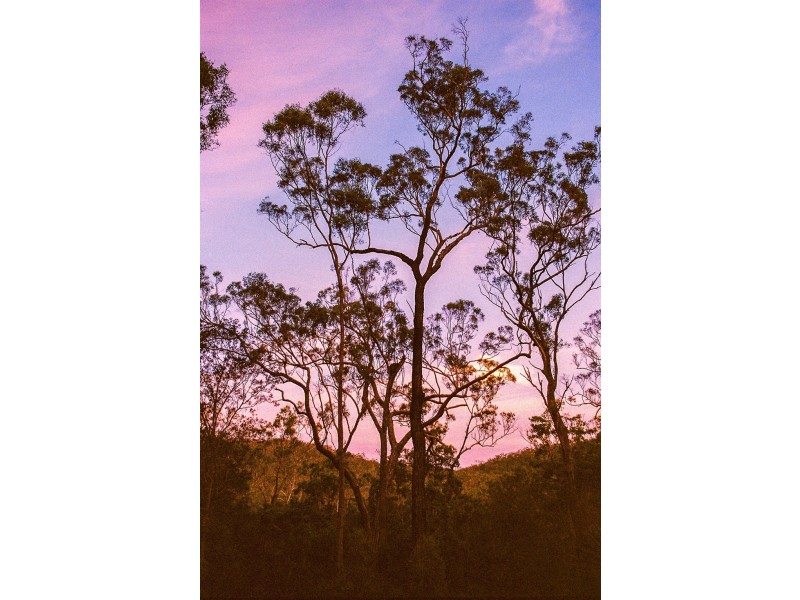 74 Range Road, Captain Creek QLD 4677