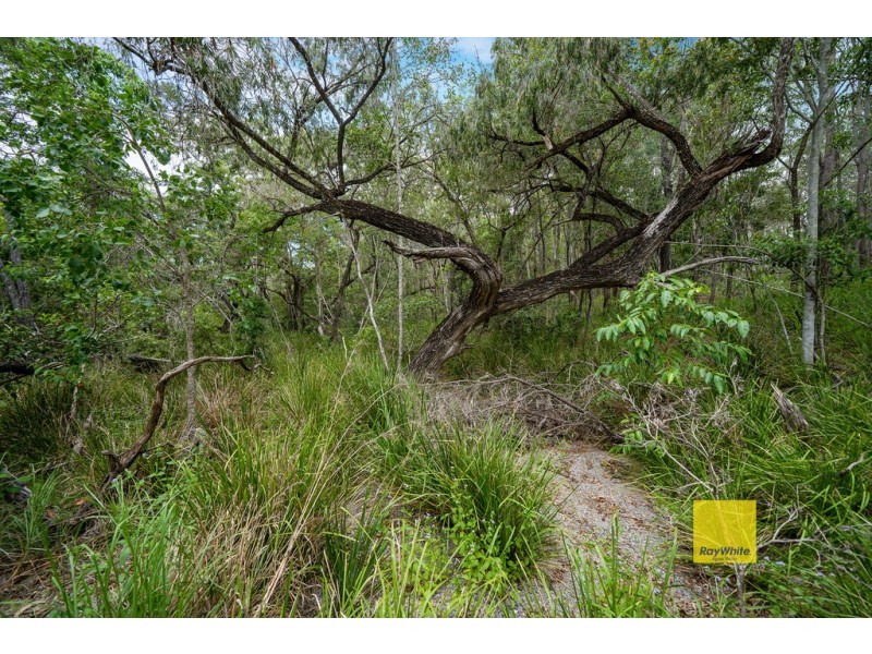 YOUR BASE CAMP, Captain Creek QLD 4677