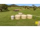 537 Hallorans Road, Mount Tom QLD 4677