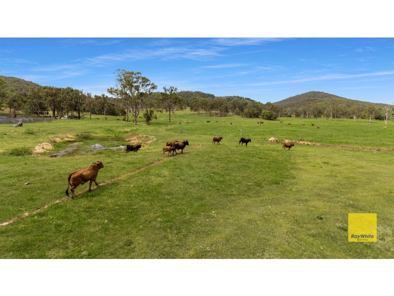 537 Hallorans Road, Mount Tom QLD 4677