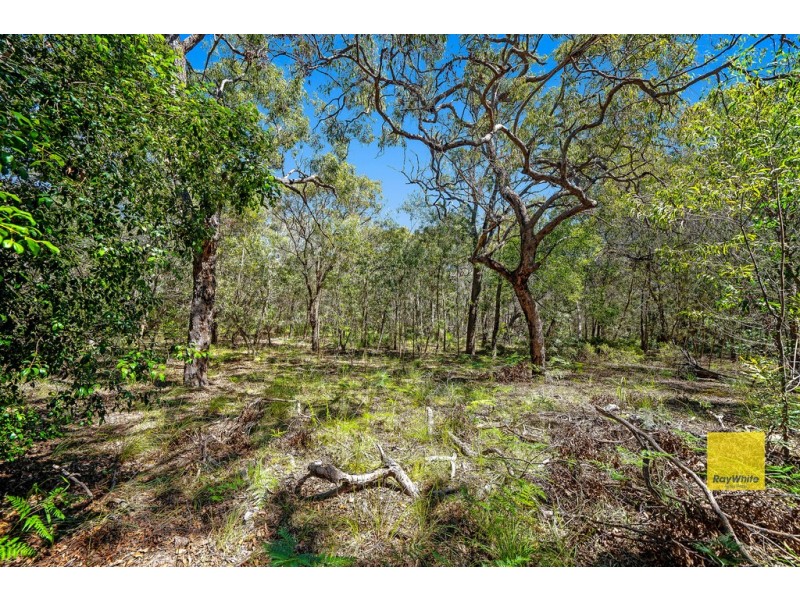 Lot 134 Bloodwood Drive, Agnes Water QLD 4677