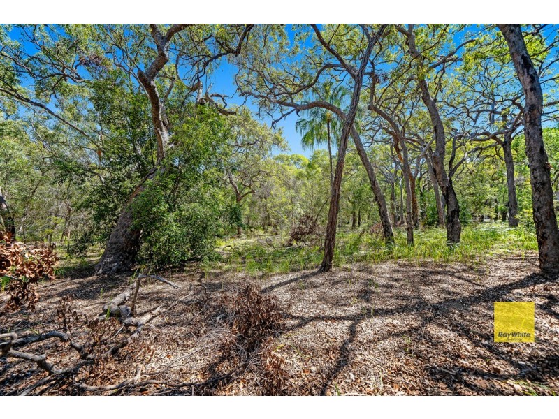 Lot 134 Bloodwood Drive, Agnes Water QLD 4677