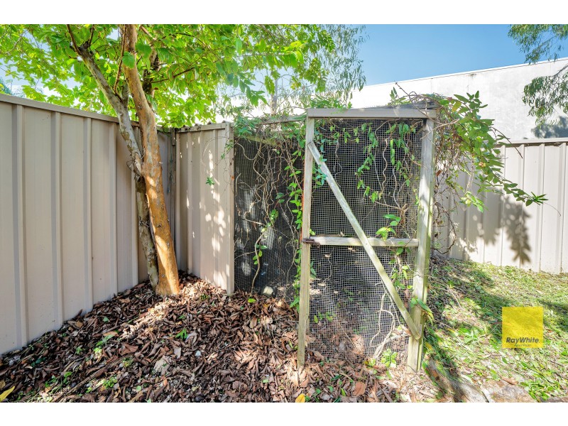 31 Palm Court, Agnes Water QLD 4677