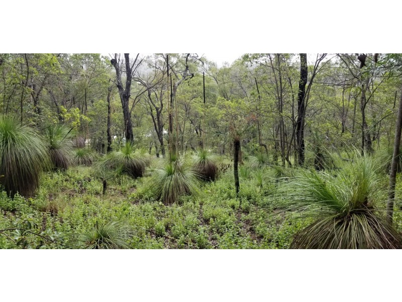 Lot 143 Josefski Road, Agnes Water QLD 4677