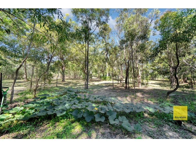 66 Whyte Crescent, Agnes Water QLD 4677