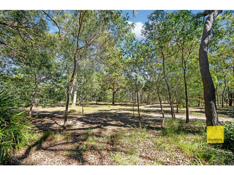 66 Whyte Crescent, Agnes Water QLD 4677