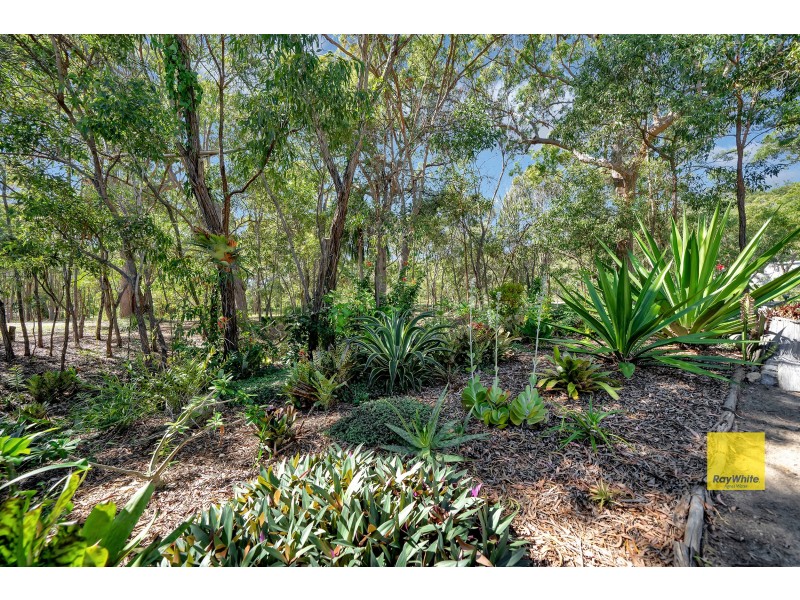 66 Whyte Crescent, Agnes Water QLD 4677