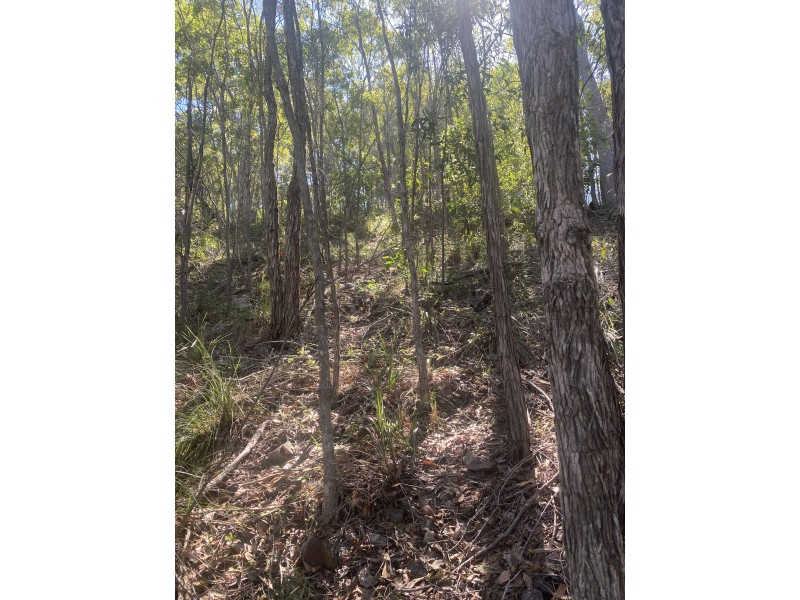 8 Bayview Close, Agnes Water QLD 4677