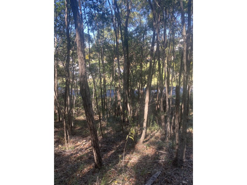 8 Bayview Close, Agnes Water QLD 4677